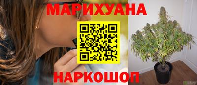 таблы Гатчина