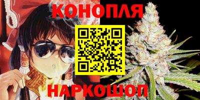 бошки Гагарин