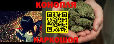 бошки Гагарин