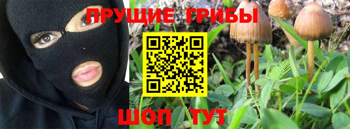 Трёхгорный  Галлюциногенные грибы прущие грибы  Вход с VPN 